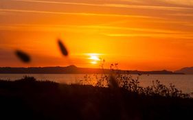 Seashore House - Appartamento A 100 Mt Dal Mare